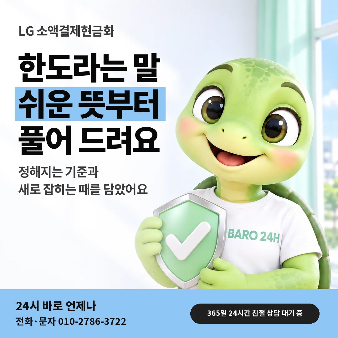 방패를 든 BARO 24H 티셔츠를 입은 3D 거북이 캐릭터 옆에 「LG 소액결제 한도란」 제목을 얹은 안내 카드
